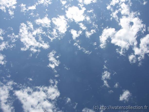 2004-08-23 15-08-32 Nature 28,0mm 1_400_eme F8,0 